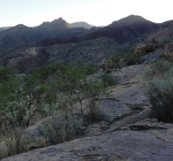 erongo_verzeichnis_jagen_namibia©hagen-denker_15