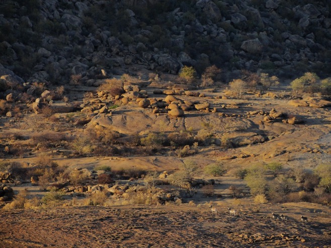 erongo_verzeichnis_jagen_namibia©hagen-denker_20